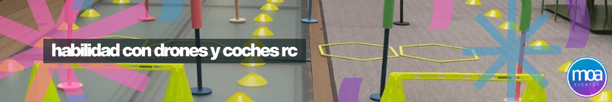 coches radio control para empresas